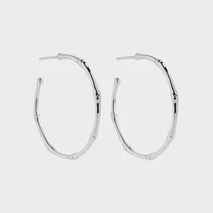 Bamboo Large Silver Stud Hoop