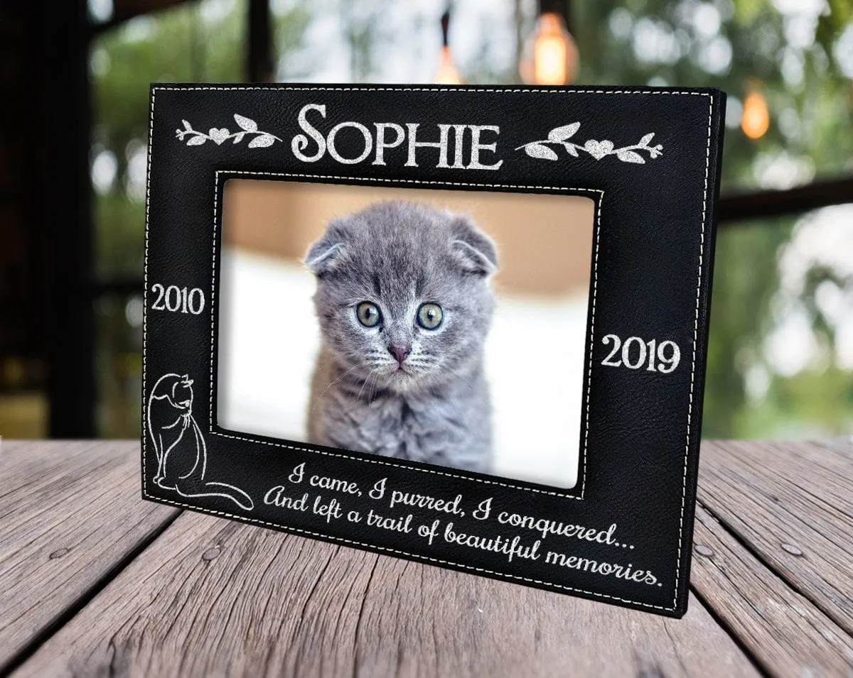 I came, I purred, I conquered.. | Picture Frame