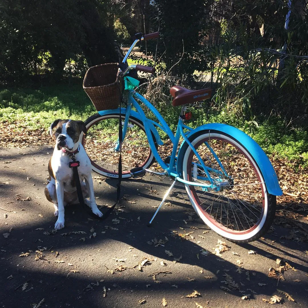 sixthreezero Teal Women's 26" 7 Speed Beach Cruiser Bicycle