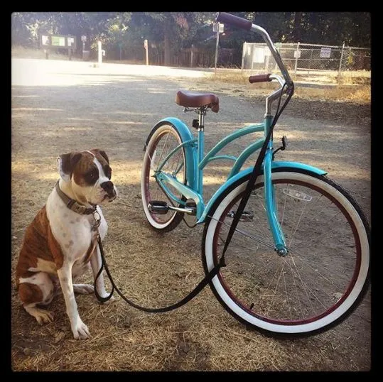 sixthreezero Teal Women's 26" 7 Speed Beach Cruiser Bicycle